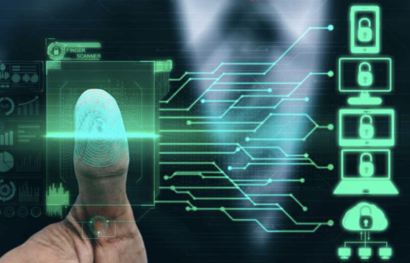 Decentralized Identity Systems